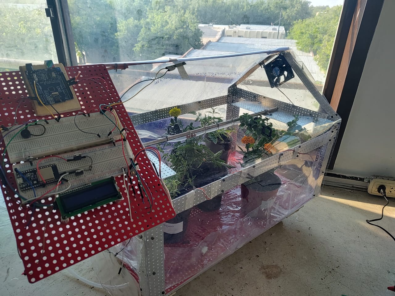 Haga click en la imágen para verla ampliada