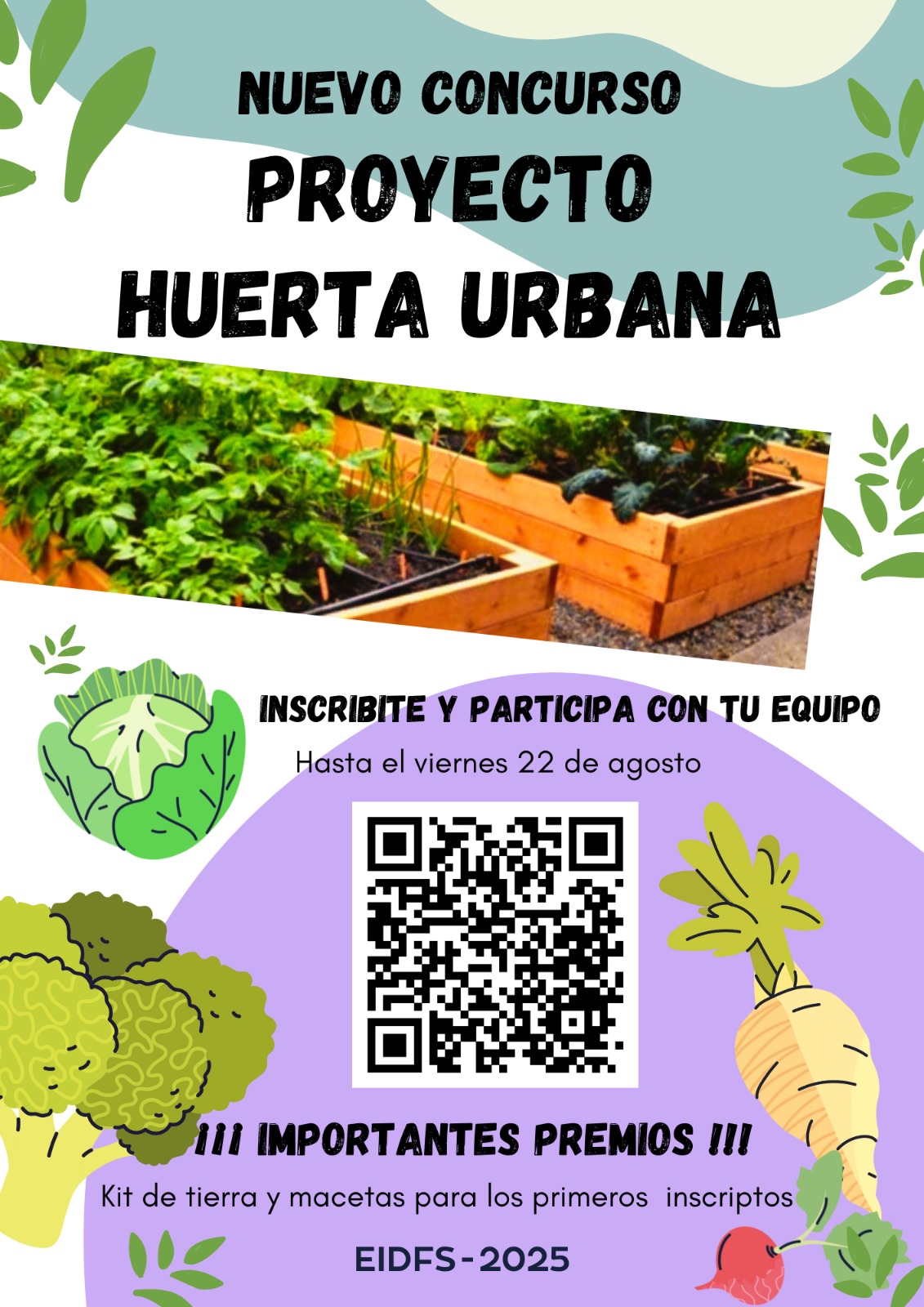 Haga click en la imágen para verla ampliada